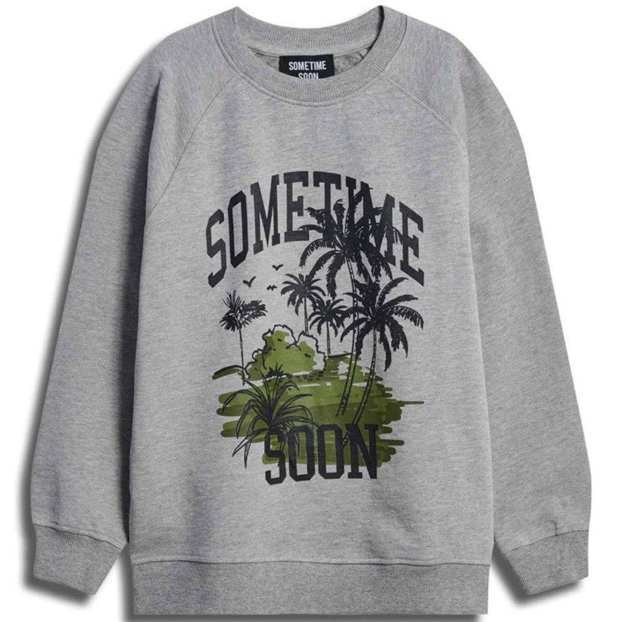 Barneklaer Sometime Soon | Sometime Soon Palm Sweatshirt Til Barn, Grey Melange